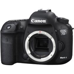 Canon EOS 7D Mark II 20.2 Megapixel Digital
